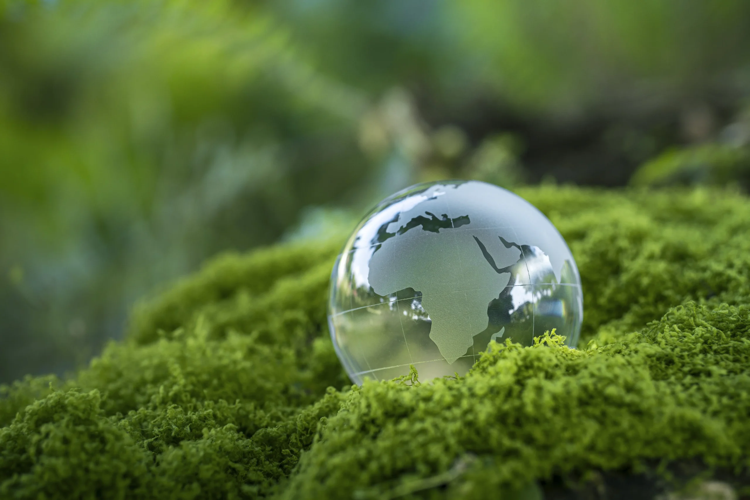 Medio ambiente